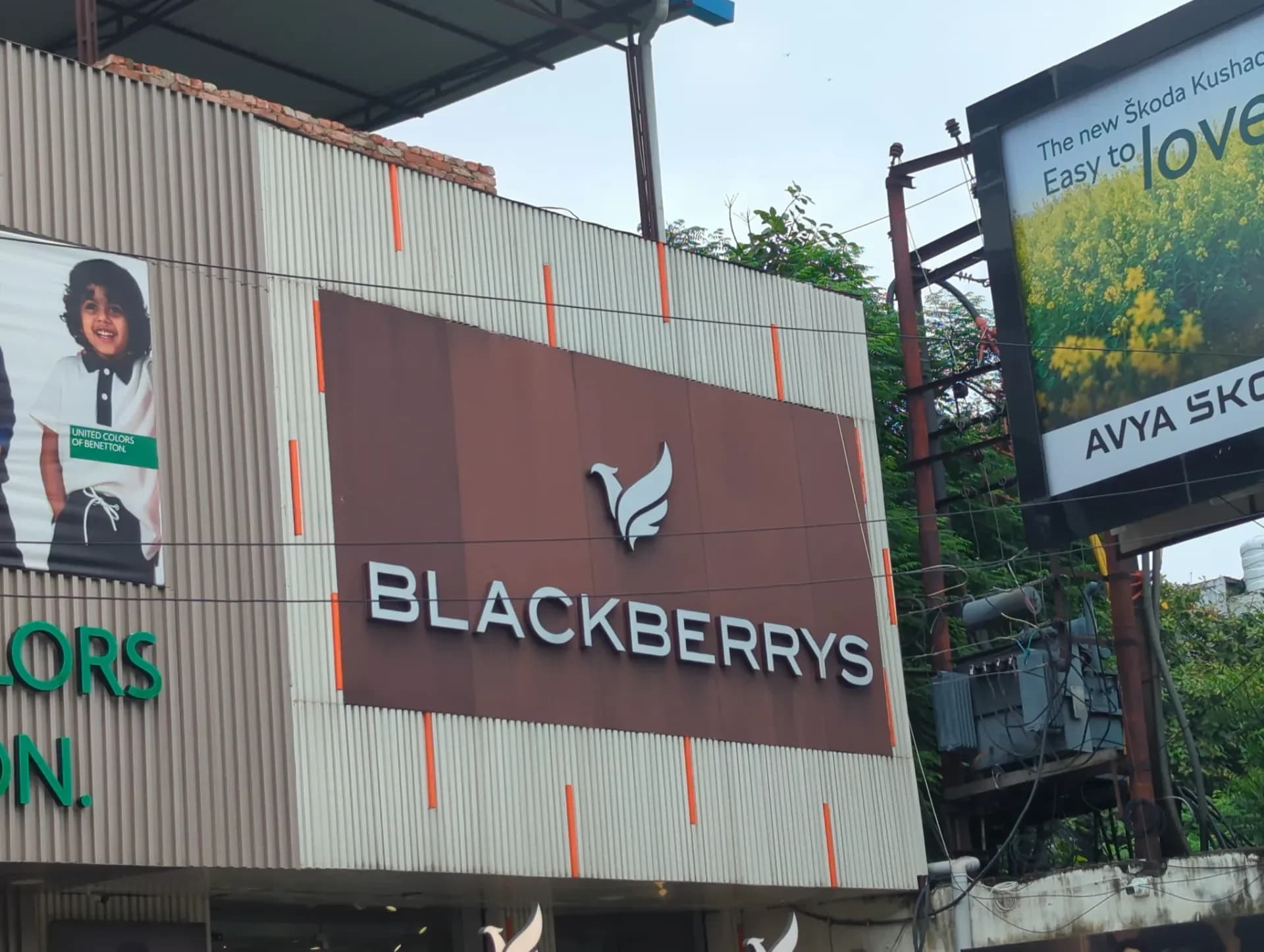 BLACKBERRYS