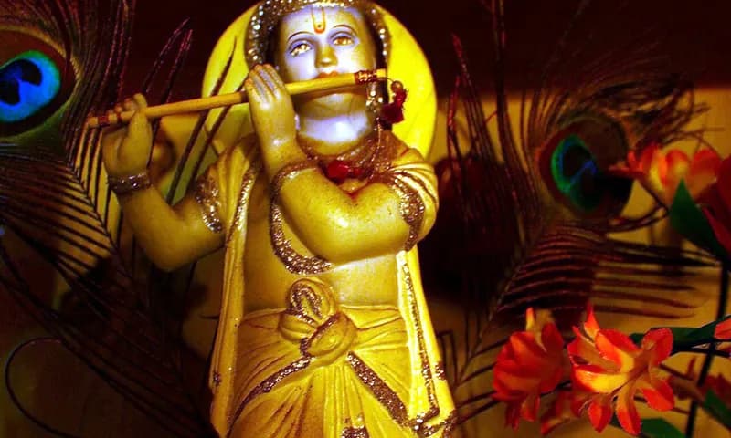 Krishna Janmashtami
