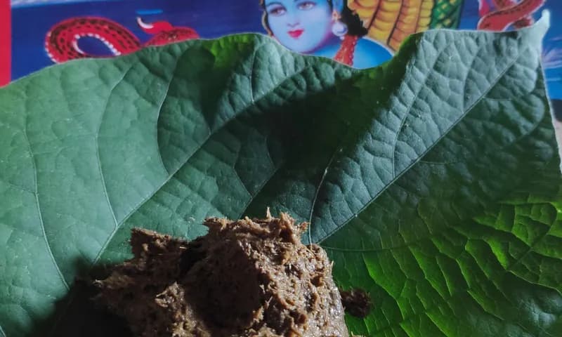 Nag Panchami